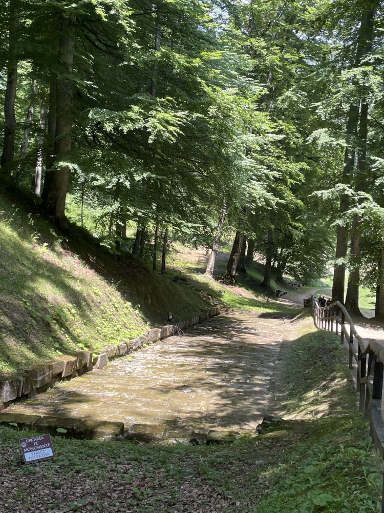 Sarmizegetusa Regia: un tratto della strada che dalla cittadella conduceva all'area sacra [Foto: Maria Teresa Natale, CC BY NC SA]