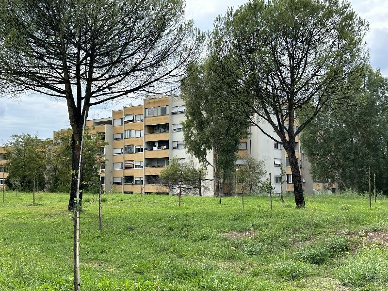 Torre Maura, complesso ATER e Parco dei Piovanelli [Foto: Maria Teresa Natale, 2024, CC BY NC SA]